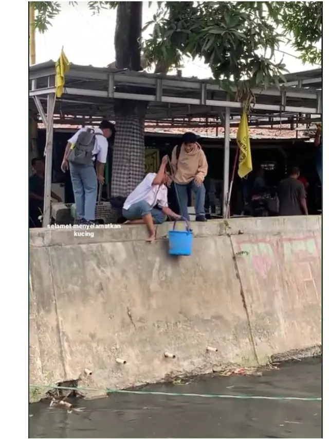 Momen 4 Pelajar SMA Kerja Sama Tolong Kucing yang Jatuh ke Sungai, Bikin Salut