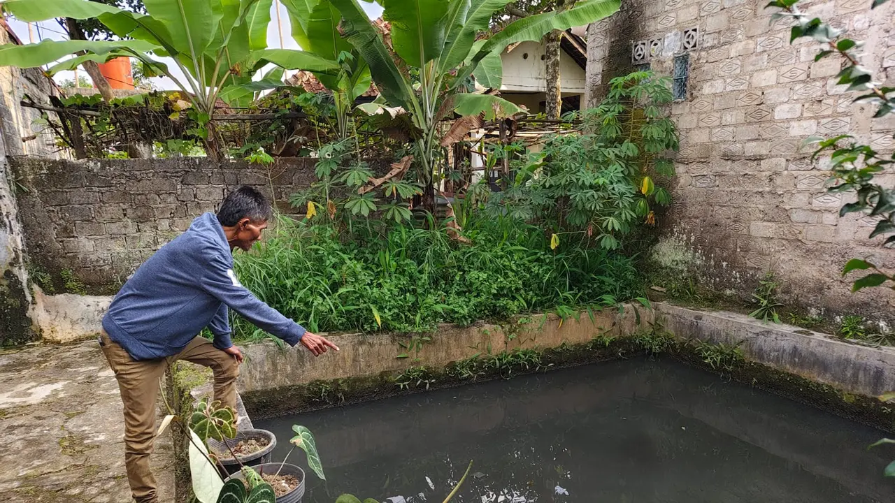 Warga Kampung Kebonjati, Gang H. Marsudi, Kelurahan Kebonjati, Kecamatan Cikole, Kota Sukabumi saat menunjuk kolam budidaya ikan. (Liputan6.com/Istimewa).