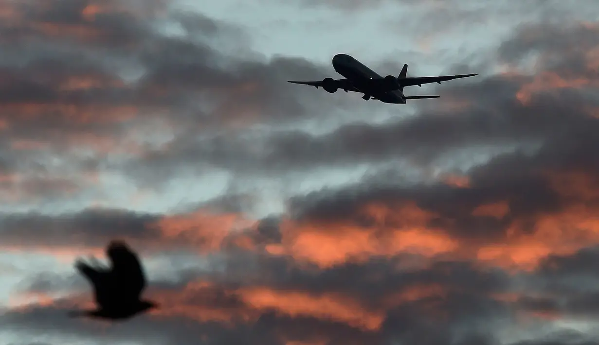 Sebuah pesawat British Airways saat akan mendarat di Bandara Heathrow, London, Inggris, (18/4). Pesawat British Airways dilaporkan ditabrak sebuah drone saat akan mendarat di Bandara Heathrow. (REUTERS / Toby Melville)