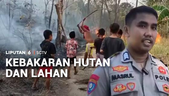 Kebakaran Hutan dan Lahan
