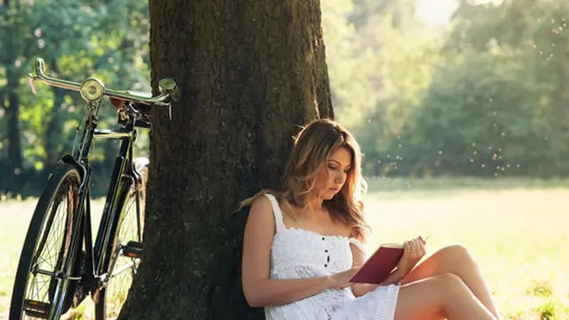 Foto : copyright shutterstock.com