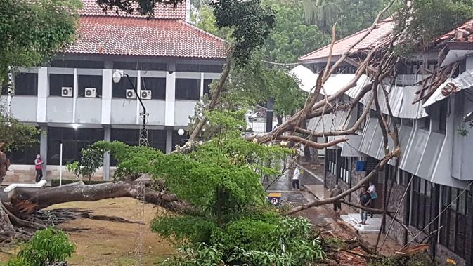 Sapuan angin kencang, mampu merobohkan satu pohon beringin besar yang berada di kompleks perkantoran Pemda Garut (Liputan6.com/Jayadi Supriyadin)