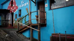 Seekor anjing terlihat di depan sebuah bar di Juzcar, Selatan Spanyol, 2 Desember 2016. Semua bangunan di desa ini sengaja dicat berwarna biru untuk mempromosikan premier film baru "Smurfs: the lost village". (REUTERS/Jon Nazca)