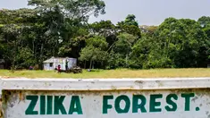 Sebuah gambar menunjukkan pintu masuk hutan virus Zika di Uganda, 29 Januari 2016. Hutan ini merupakan lokasi pertama kali ditemukannya virus Zika pada April 1947 setelah pengujian menggunakan monyet-monyet oleh ilmuwan. (ISAAC KASAMANI/AFP)