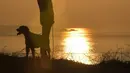 Seorang pria melihat matahari terbenam di Cap Frehel, Plevenon, Prancis (26/2). Tidak ada kota atau desa yang terletak di semenanjung namun, dua mercusuar, satu dari abad ke-17 dan satu lagi dari tahun 1950, terletak di ujungnya. (AFP Photo/Loic Venance)