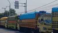 Terbongkar, 40 Ton Pupuk Subsidi Diselundupkan untuk Sawit