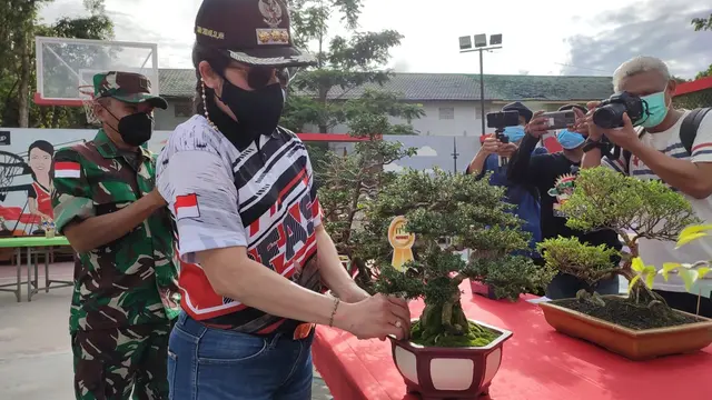 kontes bonsai yang diikuti oleh Jusin Clasic (ist)