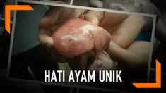 Jemaat Gereja Sonaf Neka Huilelot Kupang dibuat heboh. Mereka menemukan hati ayam bertuliskan huruf dan angka.