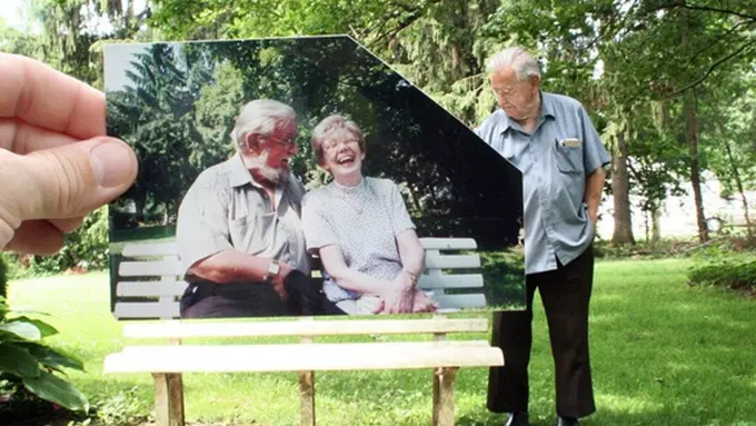 copyright by brightside.me