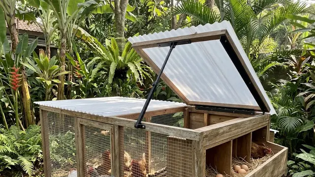 Kandang Ayam dengan Atap Engsel Sebagian