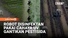 Robot self-driving ini merawat anggur dan stroberi dengan menggunakan cahaya UV, bukan pestisida. Penyinaran cahaya UV ini tujuannya untuk membunuh jamur tanpa harus menyemprotkan bahan kimia.