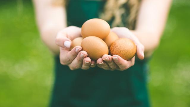 Turunkan Demam dengan Putih Telur, Mitos atau Fakta? (ESB Professional/Shutterstock)