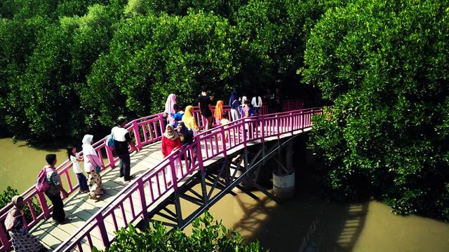 6 Tempat Wisata Di Brebes Yang Memesona Dari Alam Hingga
