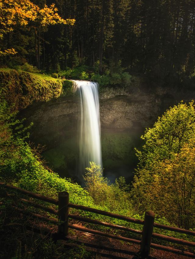 Silver Falls State Park
