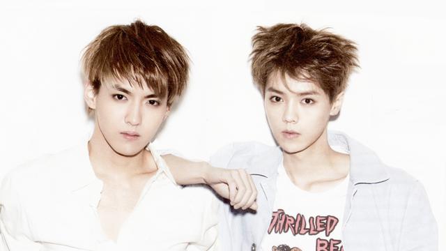 Giliran Sm Entertainment Gugat Luhan Dan Kris Showbiz Liputan6 Com