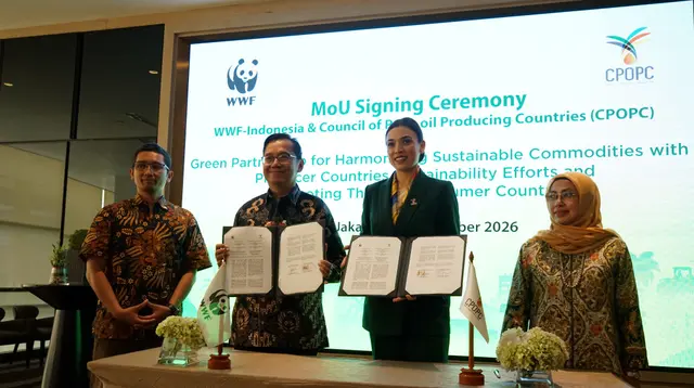 Petani Sawit Swadaya Dapat Dukungan Rantai Pasok Berkelanjutan