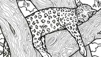 Objek Ikan di Gambar Macan Tidur (Sumber: X/piedpiperlko)