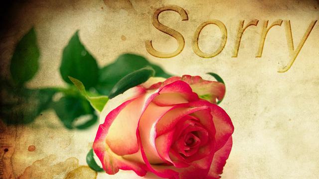 Kumpulan Kata Kata Maaf Yang Cocok Disampaikan Kepada Pasangan Dan