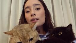 Aktris yang terlibat dalam film terbaru berjudul Lara Ati ini memang seorang penyayang binatang. Ia sangat menyayangi dua kucingnya hingga beberapa momen sering abadikan pemilik nama latin Felix catus di Instagram. Potret Tatjana bersama kucing pun curi perhatian. (Liputan6.com/IG/@tatjanasaphira)