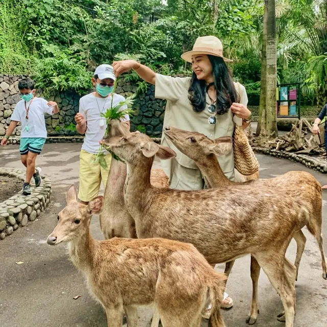 8 Potret Liburan Bunga Zainal dengan Keluarga di Bali, Tetap Stylish