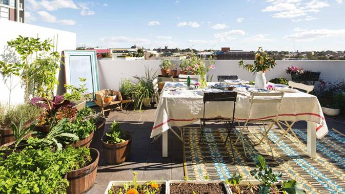 4 Jenis Tanaman  yang Cocok untuk Roof Garden Anda 