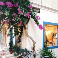  Halaman Indah, Hunian Aman (Photo by Ena Marinkovic di Pexels)