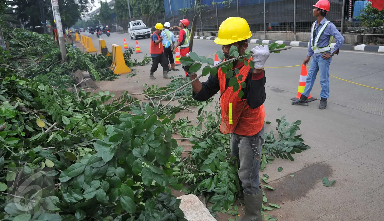 Petugas memotong batang pohon yang telah ditebang di sepanjang jalan DI. Panjaitan, Kebon Nanas, Jakarta, Senin (21/3). Penebangan pohon-pohon itu untuk pelebaran jalan terkait pembangunan Jalan Tol Becakayu. (Liputan6.com/Gempur M Surya)