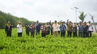 Komisi IV DPR Usul Badan Restorasi Gambut dan Mangrove Dipermanenkan
