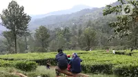 Wisatawan yang Berakhir Pekan di Bogor Wajib Bawa Hasil Negatif Tes Antigen