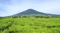 Gunung Dempo dengan hamparan kebun teh. (Foto: Shutterstock)