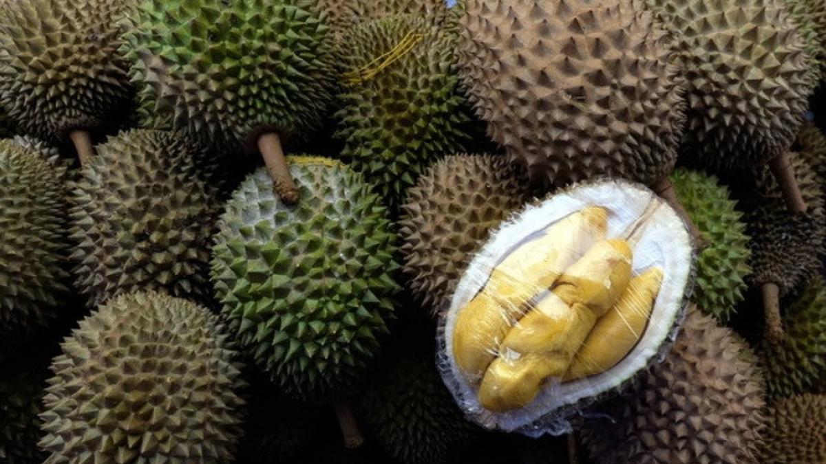 Usahawan kosmetik makan durian