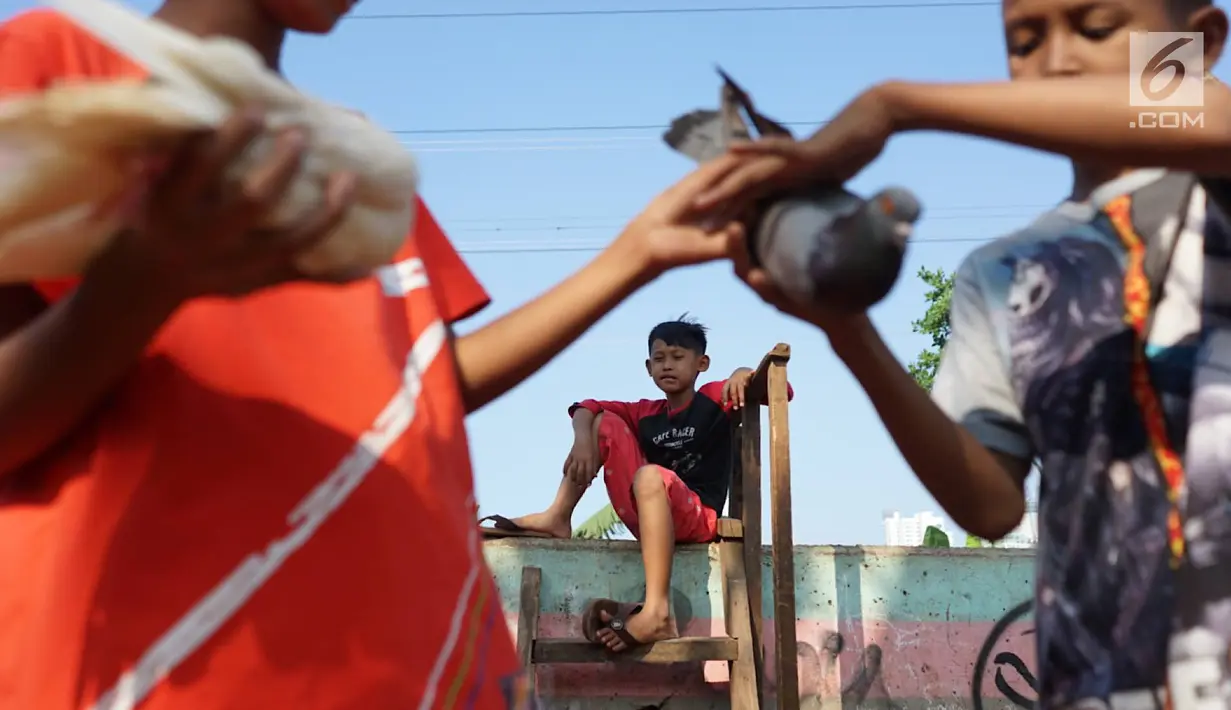 Anak-anak bermain dengan burung merpati di kawasan Tanah Abang, Jakarta, Selasa (23/7/2019). Pada peringatan Hari Anak Nasional yang jatuh 23 Juli, masih banyak anak-anak Indonesia yang belum dapat memiliki ruang bermain layak. (Liputan6.com/Immanuel Antonius)