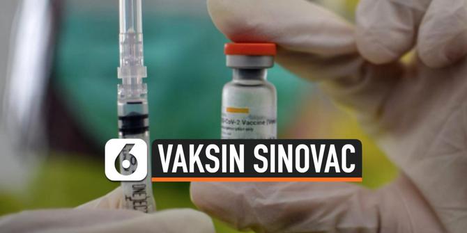 VIDEO: Vaksin Covid-19 Sinovac Dapat Izin Penggunaan Darurat WHO