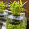 8 Inspirasi Galon Bekas untuk Tanam Kangkung Sekaligus Ternak Lele, Produktif Ganda