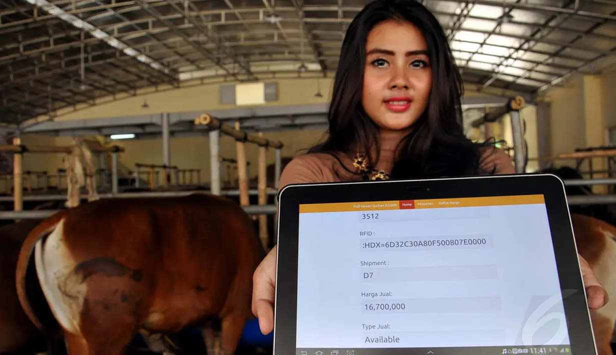 Untuk memilih hewan kurban pun para pembeli dapat menggunakan sistem IT yang canggih, Depok, (17/9/14). (Liputan6.com/Miftahul Hayat)