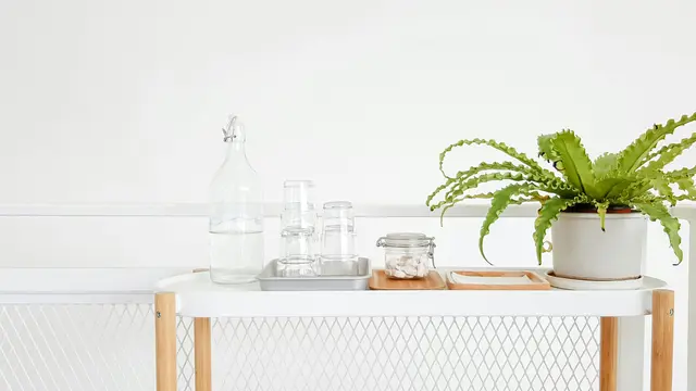 Rendam Bagian Batang Sayur dalam Air