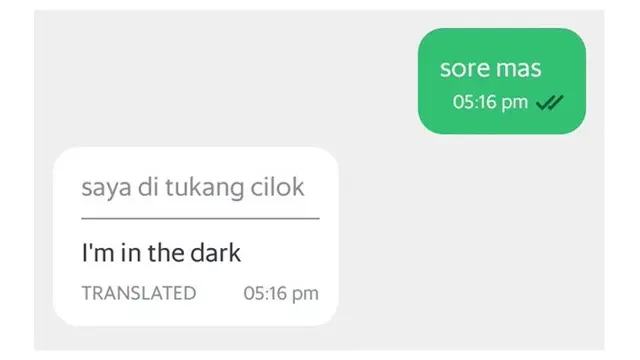 Percakapan dengan Terjemahan Otomatis Ini Bikin Tepuk Jidat
