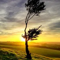 Berikut jadwal imsak, puasa hari ke-8, 3 Juni 2017. (Foto: renatures.com)