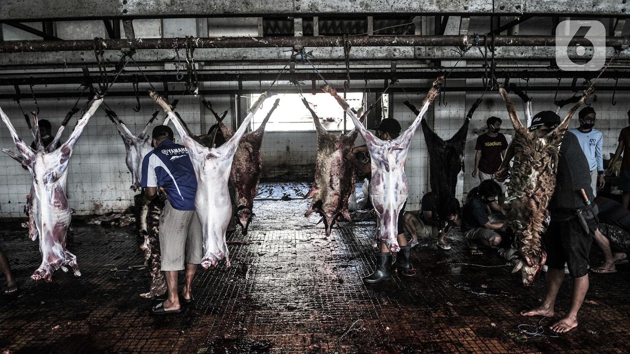 FOTO: Penyembelihan Hewan Kurban di Tengah Pandemi COVID-19