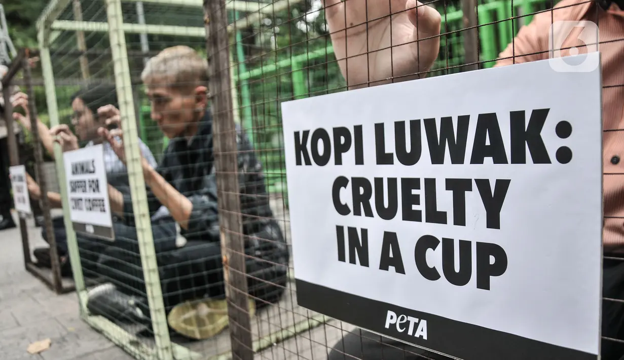 Aktivis People for the Ethical Treatment of Animals (PETA) mengurung diri di dalam kandang saat aksi teatrikal mengecam eksploitasi luwak untuk kepentingan produksi kopi di depan Kantor Kementerian Lingkungan Hidup dan Kehutanan (KLHK), Jakarta, Rabu (25/1/2023). Aktivis PETA mengurung diri di dalam kandang sebagai bentuk protes dan mendesak pihak berwenang melarang peternakan luwak untuk kepentingan produksi kopi. (merdeka.com/Iqbal S Nugroho)