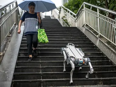 Foto yang diambil pada 22 September 2023 ini menunjukkan demonstrasi robot anjing X30 dari DEEP Robotics yang berjalan menuruni anak tangga di jalur pejalan kaki di kota tuan rumah Asian Games 2022, Hangzhou, di provinsi Zhejiang, China bagian timur. (Philip FONG / AFP)