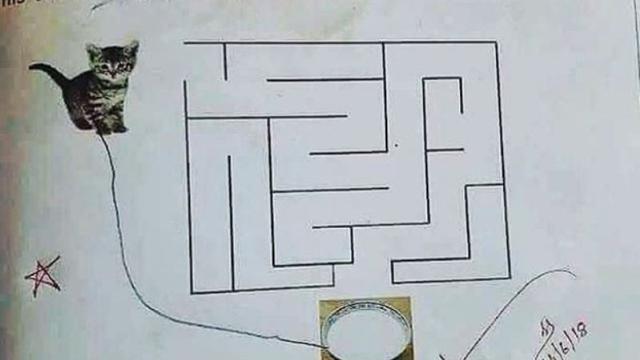 6 Kelakuan Nyeleneh Siswa Kerjakan Tugas dari Guru, Bikin Garuk Kepala