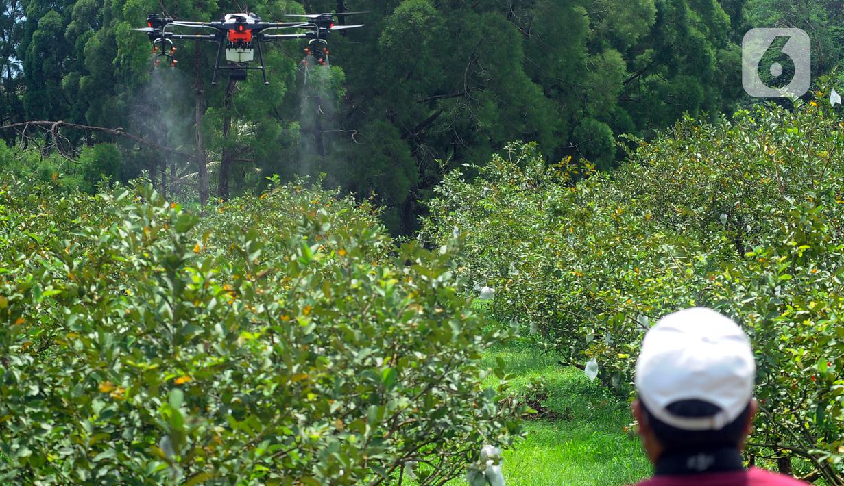 IPB Kembangkan Drone Penyemprot Pupuk untuk Tingkatkan Produksi Pertanian