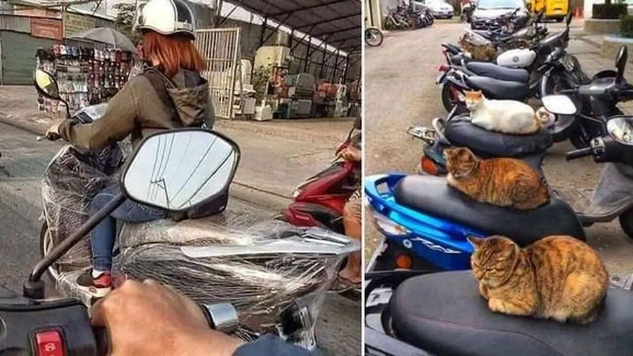 Potret Berbagai Pengaman Kendaraan