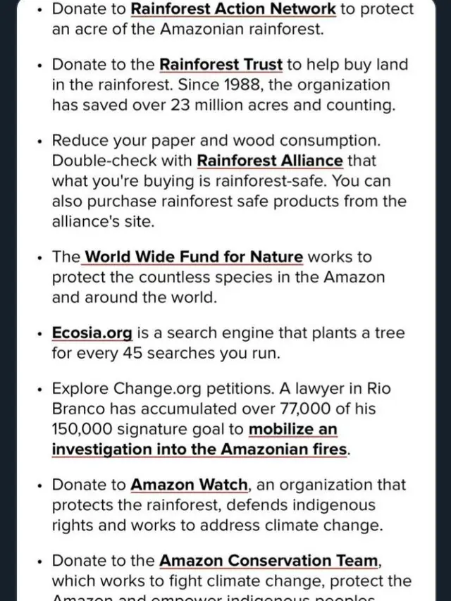 Pray For Amazon, Doa Warganet untuk Kebakaran Amazon