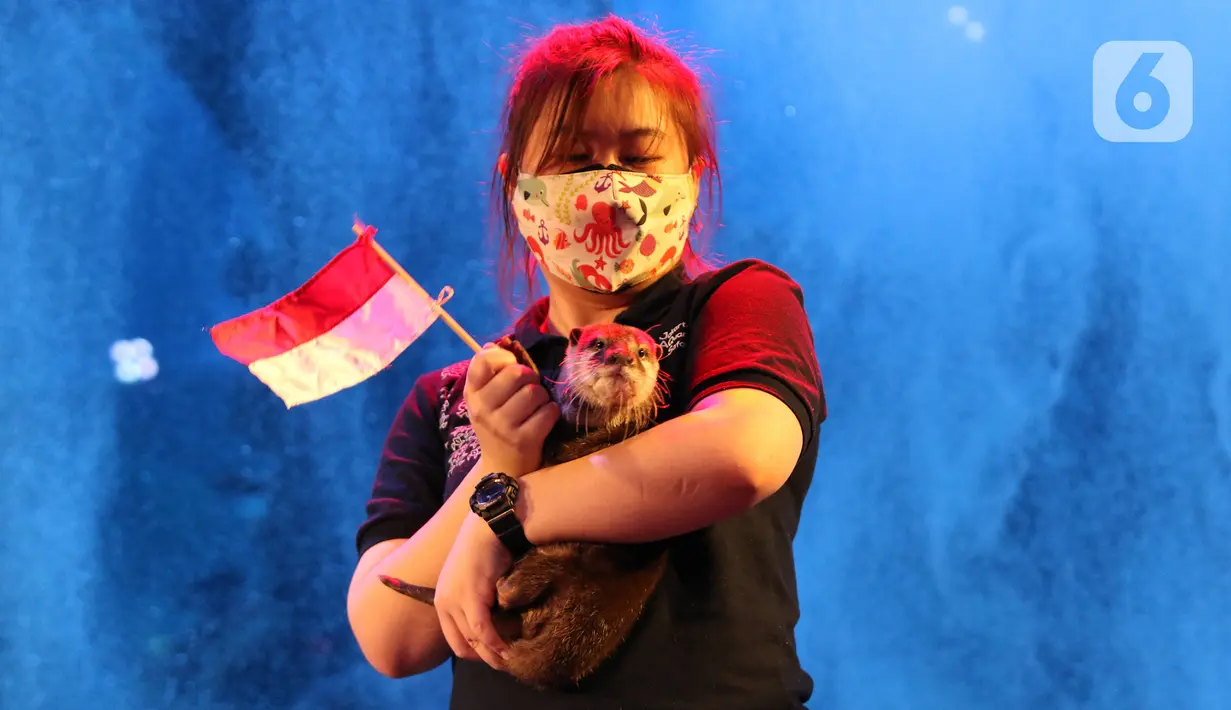 Atraksi seorang wanita dengan bendera merah putih di Jakarta Aquarium & Safari (JAQS), Jakarta, Selasa (17/8/2021). Dalam memperingati hari kemerdekaan ke-76 RI, JAQS menyelenggarakan rangkaian Pengibaran Bendera Raksasa. (Liputan6.com/Herman Zakharia)
