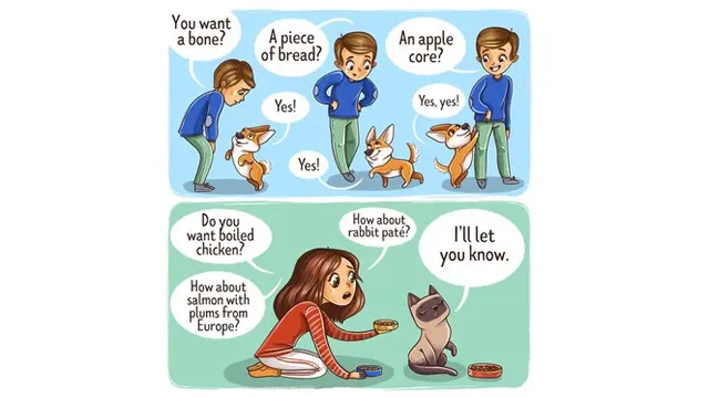 Bikin Greget, 6 Ilustrasi Ini Tunjukkan Beda Kucing dan Anjing Saat Bersama Manusia