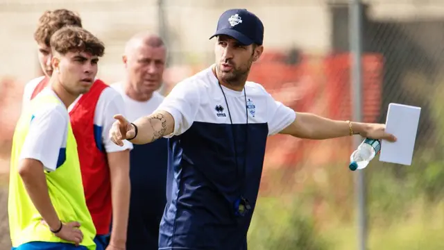 Cesc Fabregas