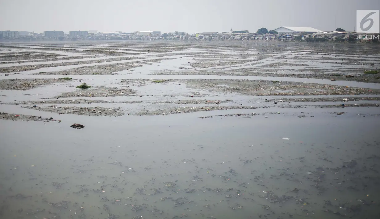 Suasana waduk Pluit yang mengalami pendangkalan di wilayah Penjaringan, Jakarta Utara, Sabtu (8/6/2019). Endapan lumpur cukup tebal yang diperparah dengan sampah menutupi permukaan air waduk tersebut mengantarkan aroma tidak sedap. (Liputan6.com/Faizal Fanani)