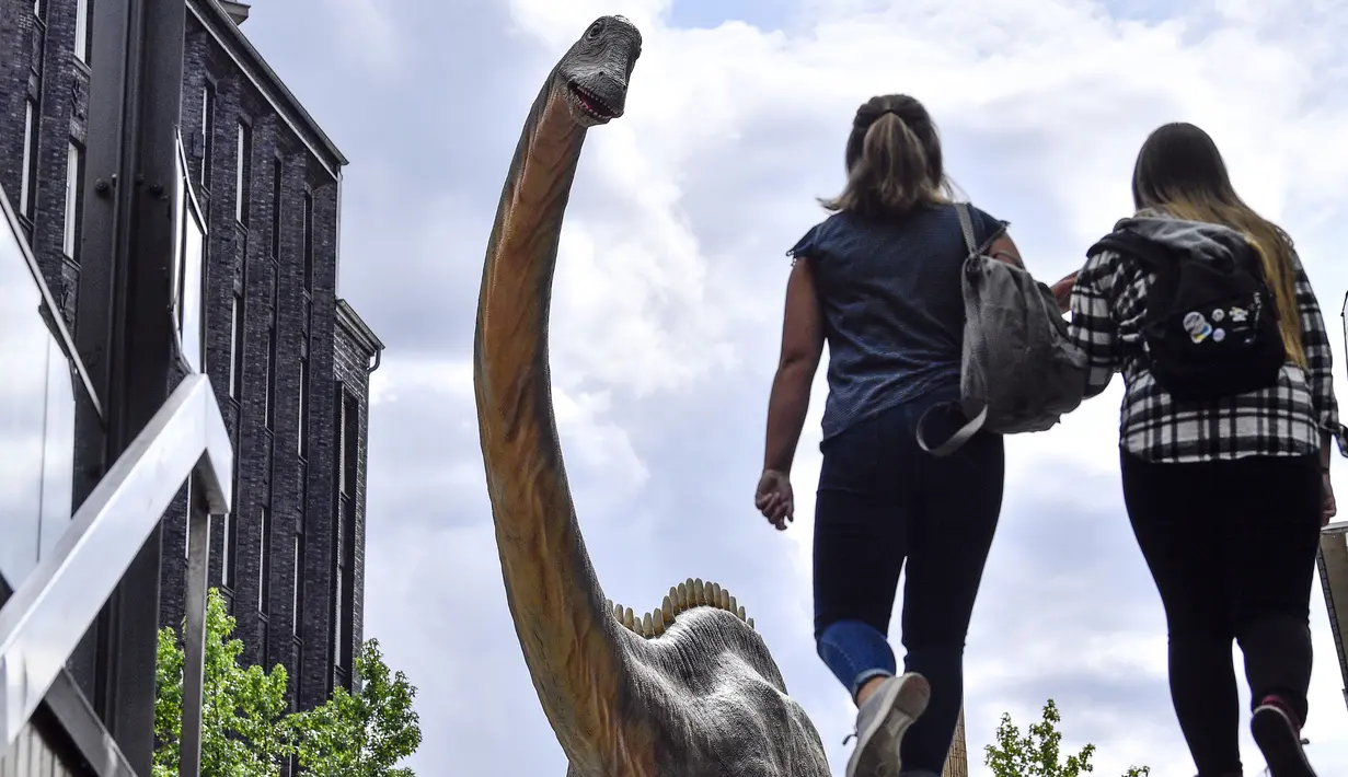 Dua wanita berjalan di depan replika dinosaurus Diplodocus seukuran aslinya di pusat kota Bochum, Jerman (12/8/2019). Jejak dinosaurus berumur 316 juta tahun ditemukan di lubang batu di kota itu enam tahun lalu di kota ini. (AP Photo/Martin Meissner)